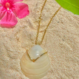 Natural Bermuda Shell Necklace (medium)