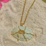 Natural Bermuda Shell Necklace (small)